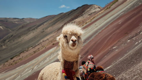 Peru Ubiriki