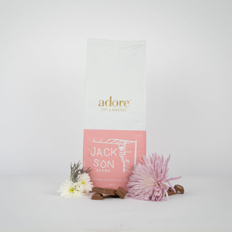 Toddy Cold Brew Bundle