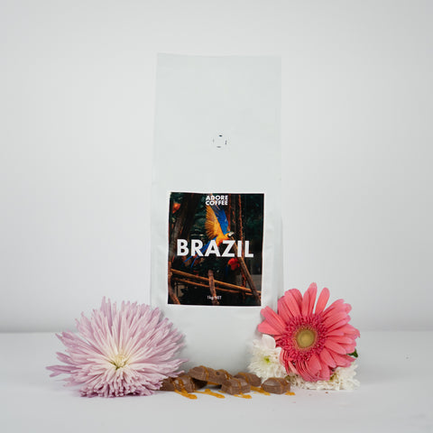 Brazil Single Origin