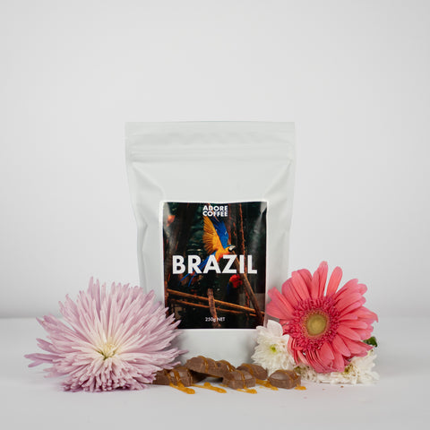 Brazil Single Origin